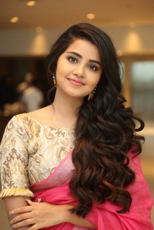 Anupama Parameswaran (aka) Anupama