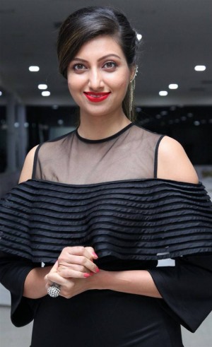 Hamsa Nandini (aka) Hamsa Nandhini