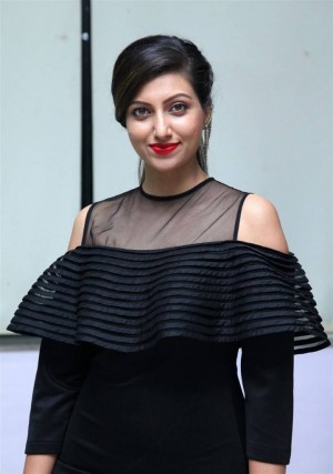 Hamsa Nandini (aka) Hamsa Nandhini