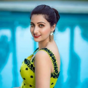 Hamsa Nandini (aka) Hamsa Nandhini