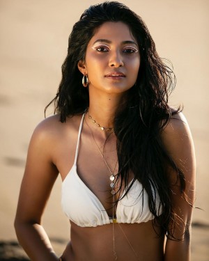 Keerthi Pandian (aka) Keerthi