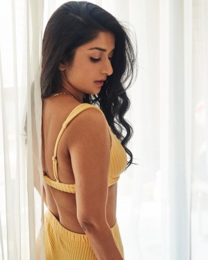 Meera Jasmine (aka) Meera Jasmin