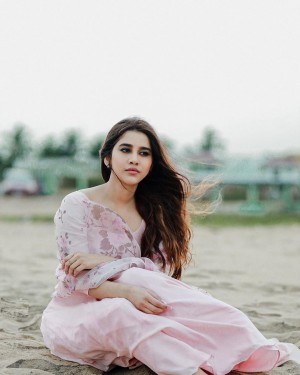 Nabha Natesh (aka) Nabha Naatesh