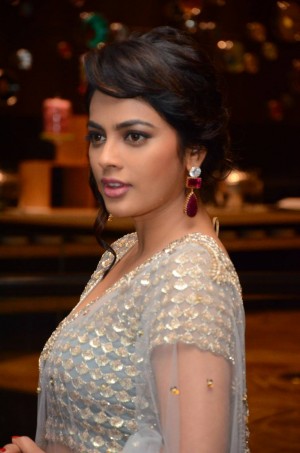 Nandita Swetha (aka) Nandita