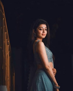 Pranitha Subhash (aka) Pranitha