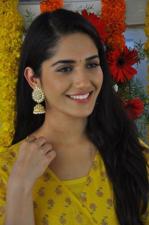 Ruhani Sharma (aka) RuhaniSharma