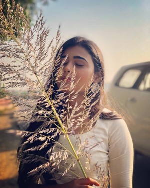 Shalini Pandey (aka) ShaliniPandey