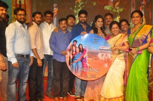 Ammamma Gari Illu Pre Release Function