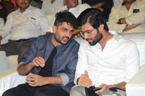 Geetha Govindham Audio Launch 