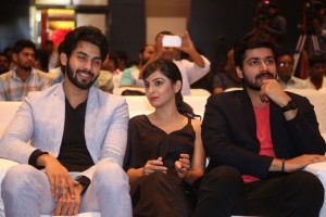 Kaadhali Audio Launch