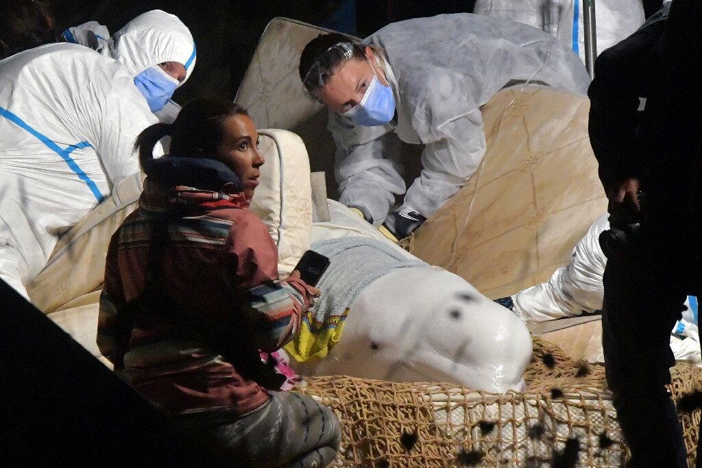 Beluga whale rescued from Seine River euthanized in transit