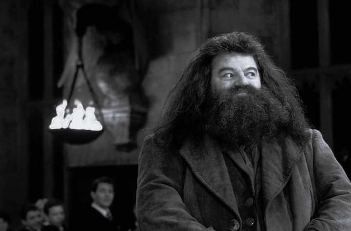 Robbie Coltrane Harry Potter Actor Passed away in Scotland